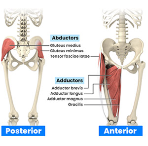 Sports Hernia