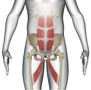 Sports Hernia